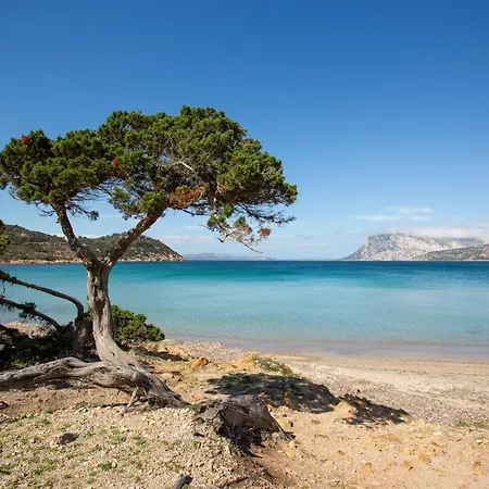 Gallura San Teodoro (Sardinia)