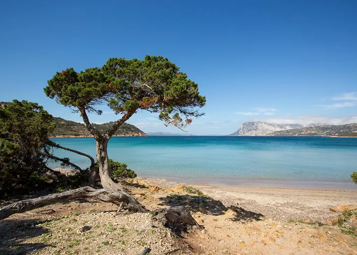 With Air Conditioning And Private Outdoor Area In The Center Of San Teodoro (Sardinia)